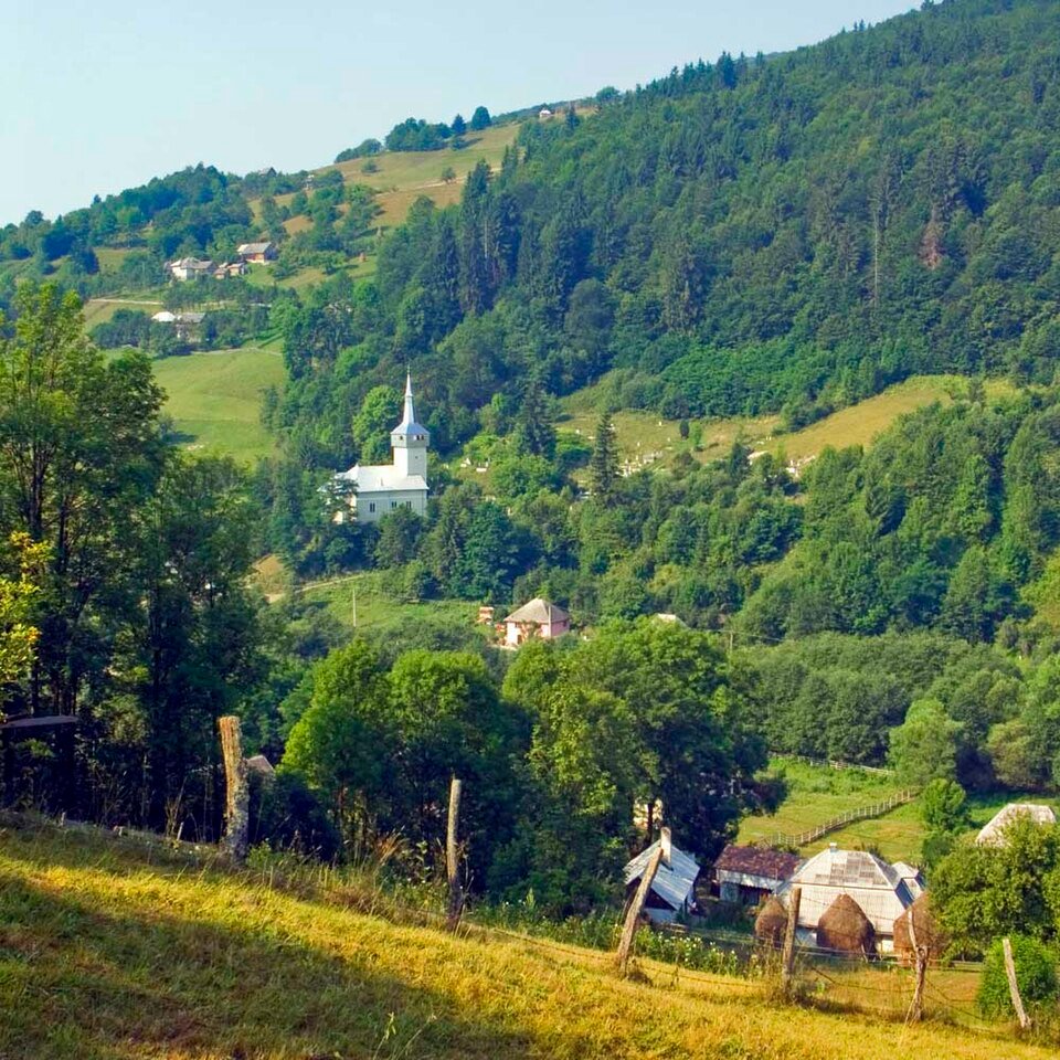 Biserica „Adormirea Maicii Domnului” din Cărpiniș